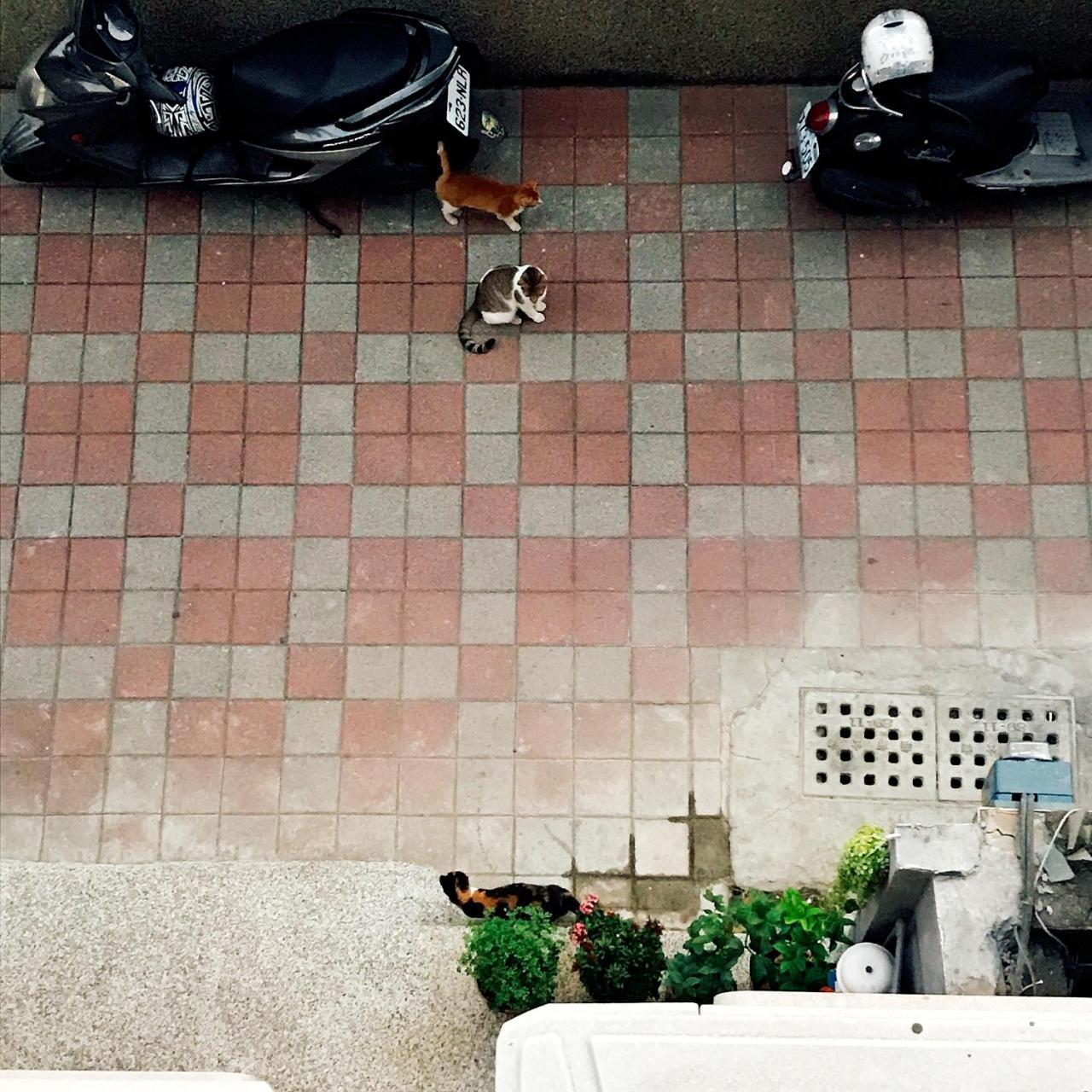 A Fat At Home Tainan Exterior photo